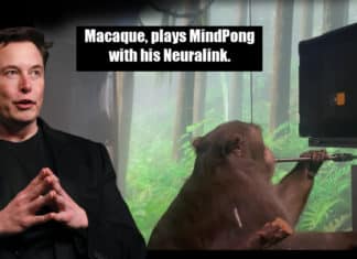 Watch : Elon Musk’s Neuralink Shows A Monkey With Brain Chip Implants Playing Video Game Neuralink Monkey Brain Implant