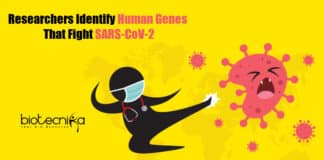 Human Genes That Fight COVID-19