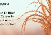 How To Build A Career In Agricultural Biotechnology ? Read Now Agricultural Biotechnology Career Scope