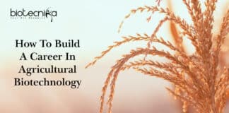 Agricultural Biotechnology Career Scope
