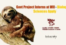Govt Project Interns at WII – Biological Sciences Apply Govt Project Interns