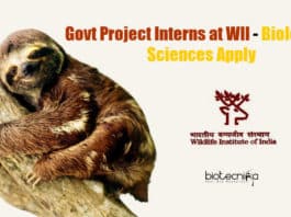 Govt Project Interns