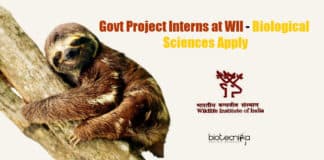 Govt Project Interns