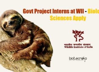 Govt Project Interns