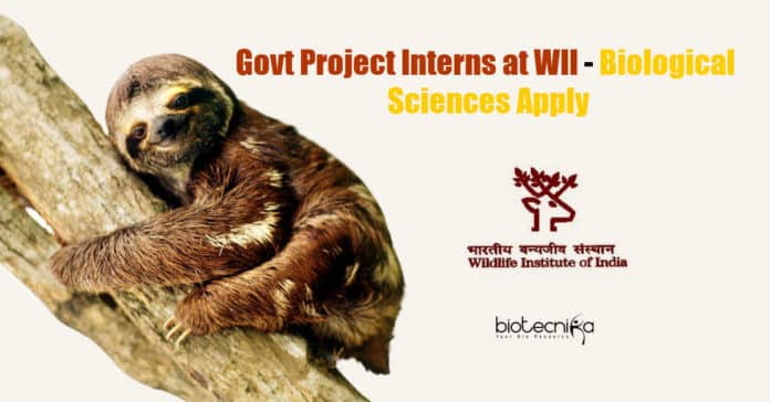 Govt Project Interns