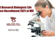 Govt Research Biologists Life Science Recruitment 2021 at WII Govt Research Biologists