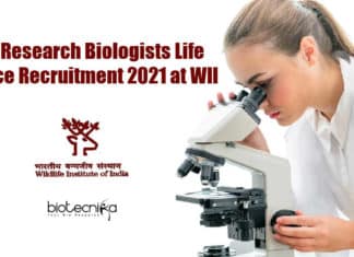Govt Research Biologists Life Science Recruitment 2021 at WII Govt Research Biologists