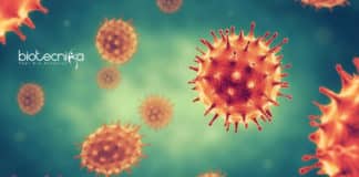 ICAR-CIPHET Microbiology Research Vacancies
