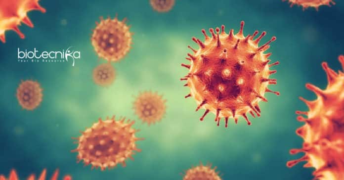 ICAR-CIPHET Microbiology Research Vacancies