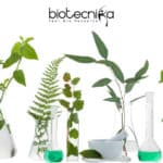 ICAR-IIRR Research Jobs