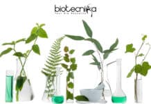 ICAR-IIRR Research Jobs