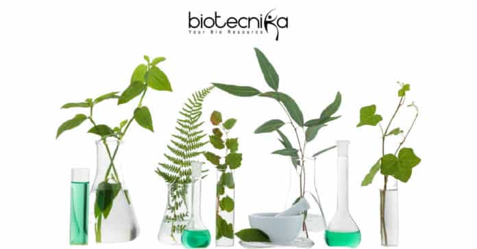 ICAR-IIRR Research Jobs