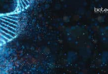 ICAR-NBAIR Molecular Biology & Bioinformatics SRF Recruitment ICAR-NBAIR SRF Job