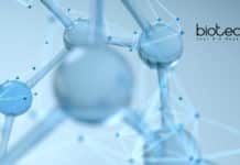 National Institute of Nutrition Biochemistry Project Research Fellow ICMR-NIN Biochem Project Research