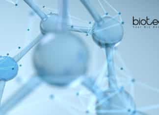 ICMR-NIN Biochem Project Research
