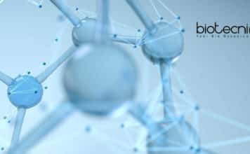 National Institute of Nutrition Biochemistry Project Research Fellow ICMR-NIN Biochem Project Research