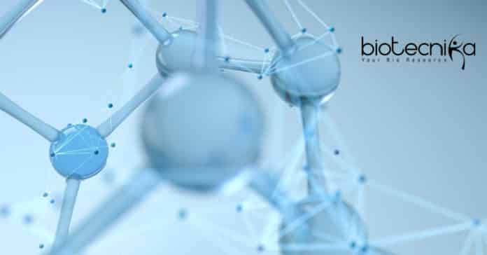 ICMR-NIN Biochem Project Research