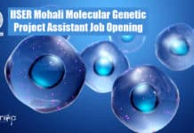 IISER Mohali Molecular Genetic Project Assistant Job Opening IISER Mohali Molecular Genetic