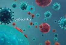 IISER TVM Biology Junior Research Fellow Job Opening IISER TVM Biology