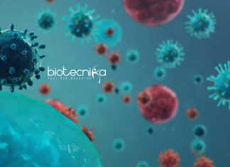 IISER TVM Biology Junior Research Fellow Job Opening IISER TVM Biology