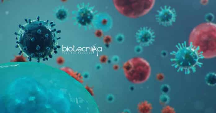 IISER TVM Biology