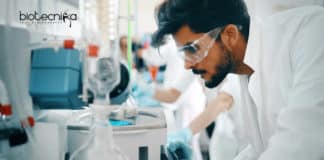 IIT Gandhinagar JRF Job