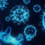 IIT Jodhpur Biology Project