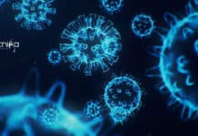 IIT Jodhpur Biology Project Assistant Job Openings – Apply Online IIT Jodhpur Biology Project