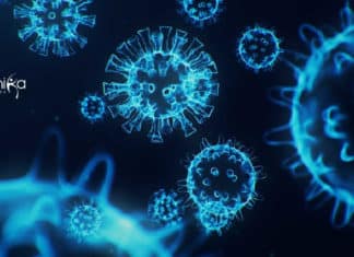 IIT Jodhpur Biology Project Assistant Job Openings – Apply Online IIT Jodhpur Biology Project