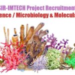 IMTECH Jobs