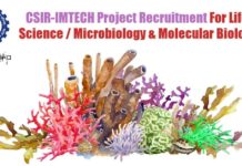 CSIR-IMTECH Project Recruitment For Life Science / Micro & Mol Bio IMTECH Jobs