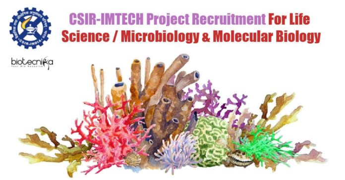 IMTECH Jobs