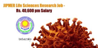 JIPMER Job