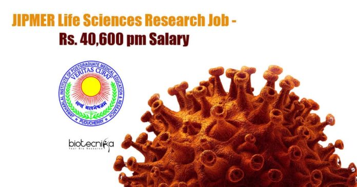 JIPMER Job
