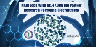 NABI Research Vacancies