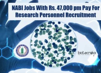 NABI Research Vacancies