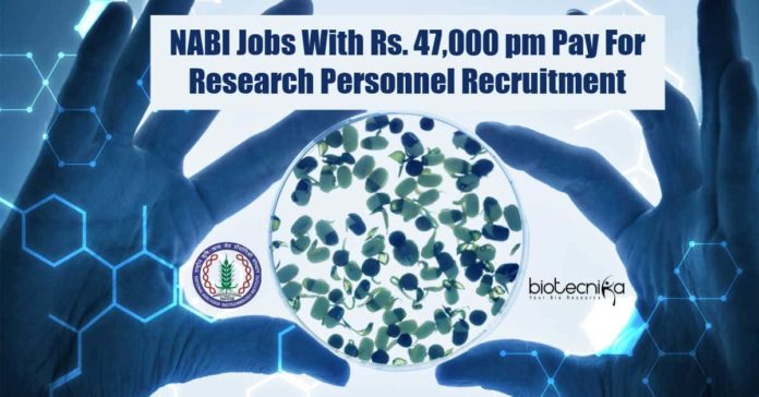 NABI Research Vacancies