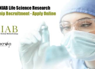 NIAB JRF Vacancies For