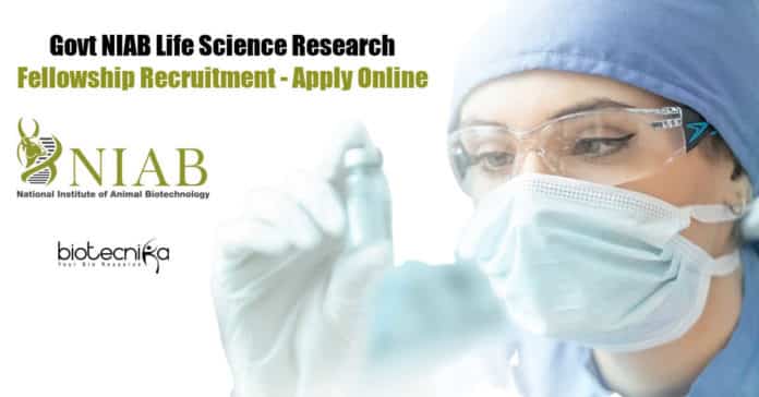 NIAB JRF Vacancies For