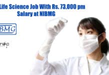 NIBMG Vacancies