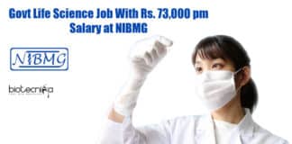 NIBMG Vacancies