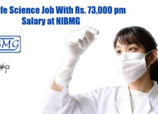 NIBMG Vacancies