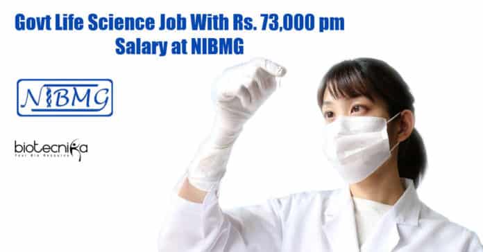 NIBMG Vacancies