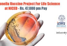 Salmonella Vaccine Project For Life Science at NICED – Rs. 47,000 pm Pay NICED PhD Jobs