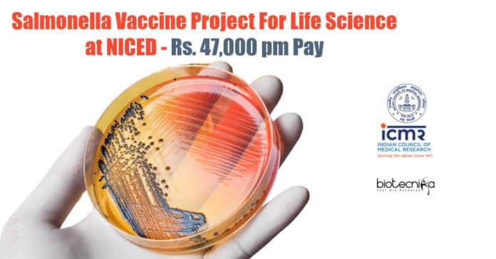 NICED PhD Jobs