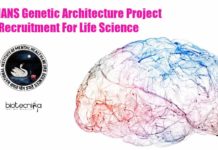 NIMHANS Genetic Architecture Project Recruitment For Life Science NIMHANS Latest Jobs