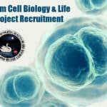 NIMHANS Stem Cell Biology & Life Science Project Recruitment NIMHANS Stem Cell Project