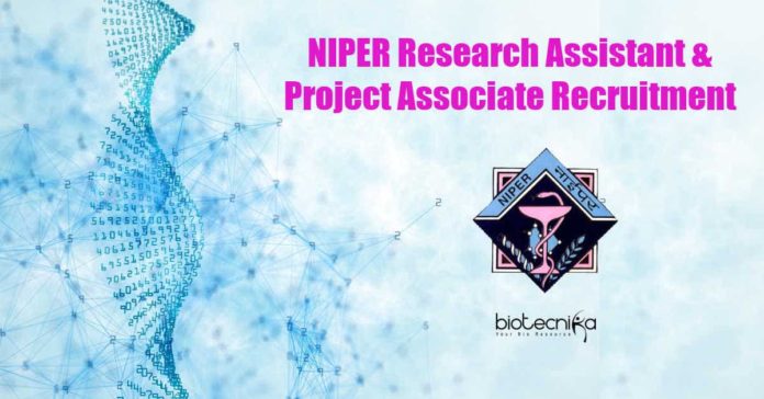 NIPER Jobs