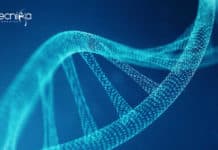 NIPGR Life Sciences / Biochem / Biotech / Mol Bio SRF Vacancy NIPGR Life Sciences /