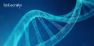 NIPGR Life Sciences /